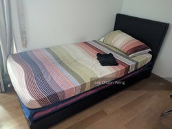 Eight Riversuites (D12), Condominium #205588921